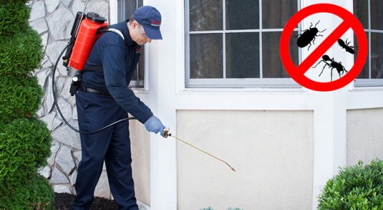 Ardahan Pire İlaçlama böcek ilaçlama ve haşere kontrolü — ilaclama-tr.com